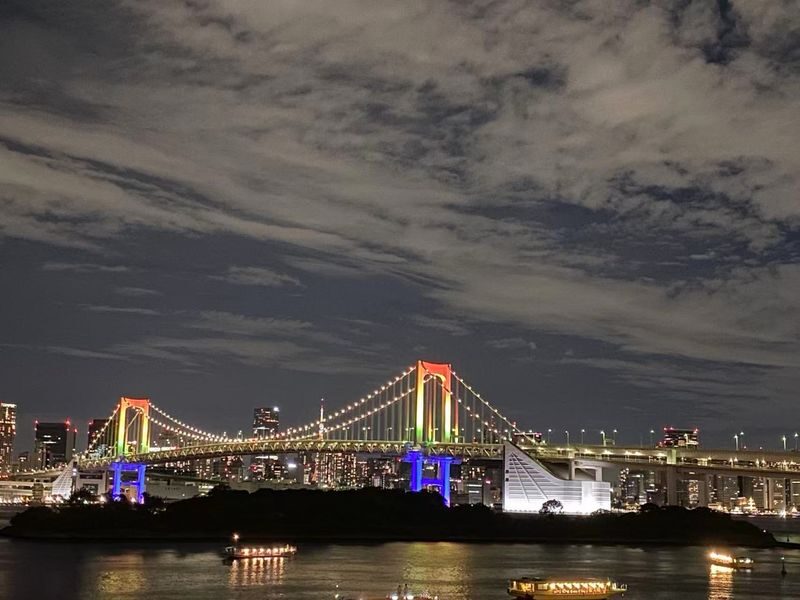 Tokyo Night View Private Half-Day Tour - Safety, timing, and cancellation
