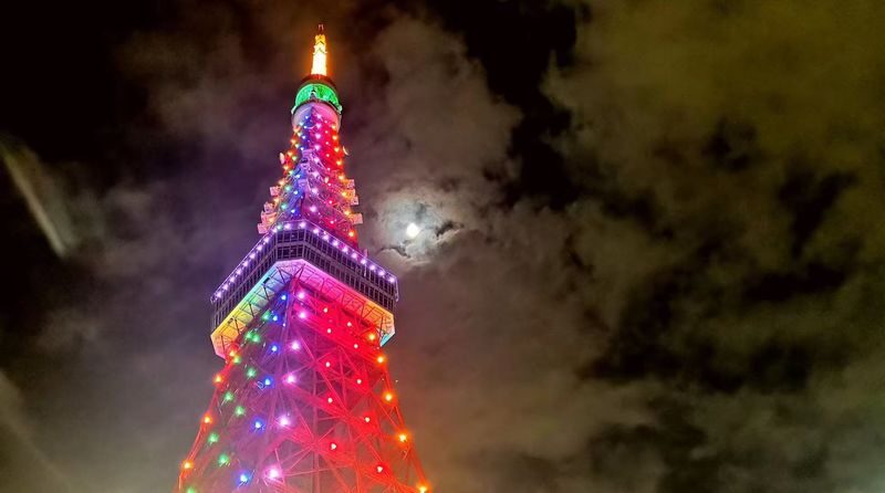 Tokyo Night View Private Half-Day Tour - Who should book this Tokyo night tour?