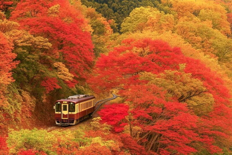 Tokyo: Nikko Autumn Irohazaka, Kegon Falls & Watarase Rail - The Sum Up: Is This Tour Right for You?