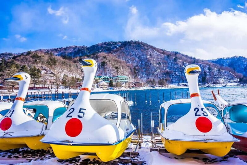 Tokyo : Nikko City Private Luxury Day Tour With Hotel Pickup - Key Points