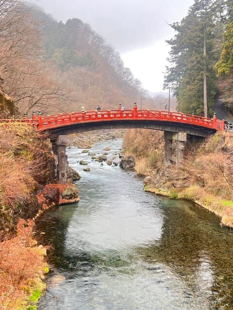 Tokyo: Nikko Day Tour with Private Vehicle and Guide - An In-Depth Look at the Tour Experience