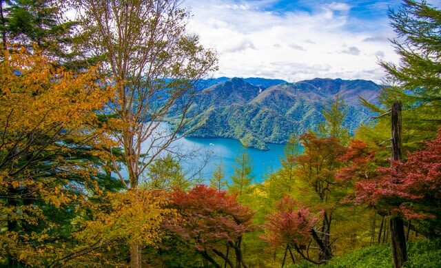 Tokyo Nikko Day Trip: Nikko Toshogu Shrine + Kegon Falls, Onsen Hot Spring & Edo Village Cultural Experience - Is the $50.59 Starting Price Good Value?