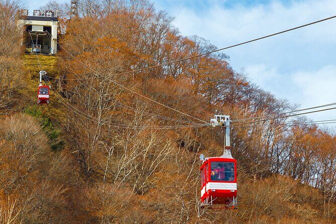 Tokyo Nikko Day Trip: Toshogu Shrine, Lake Chuzenji & Kegon Falls - Who Should Consider This Tour?