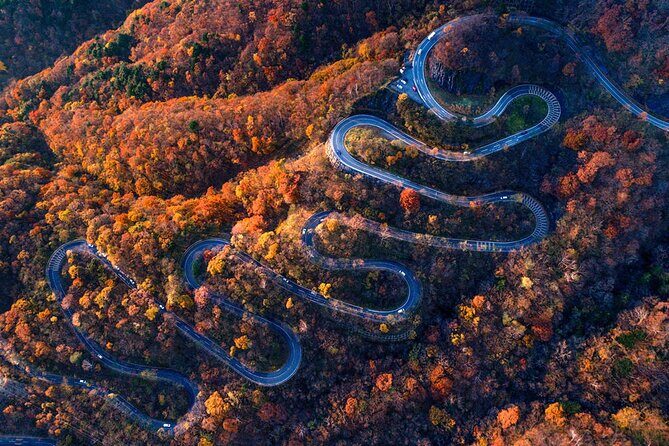 Tokyo Nikko Day Trip: Toshogu Shrine, Lake Chuzenji & Kegon Falls - The Sum Up