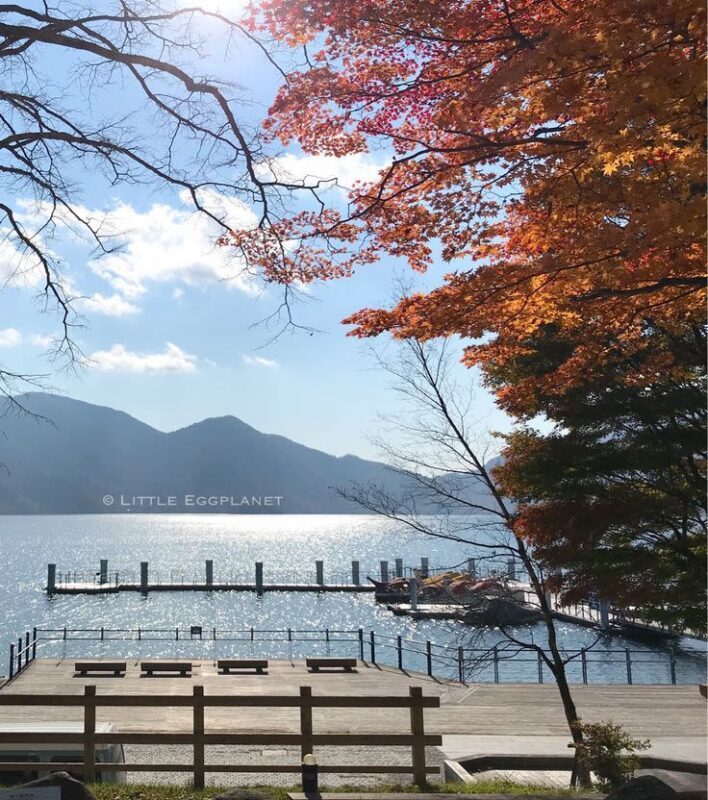 Tokyo: Nikko Full-Day Private Customizable Tour - The driver can make or break a long day