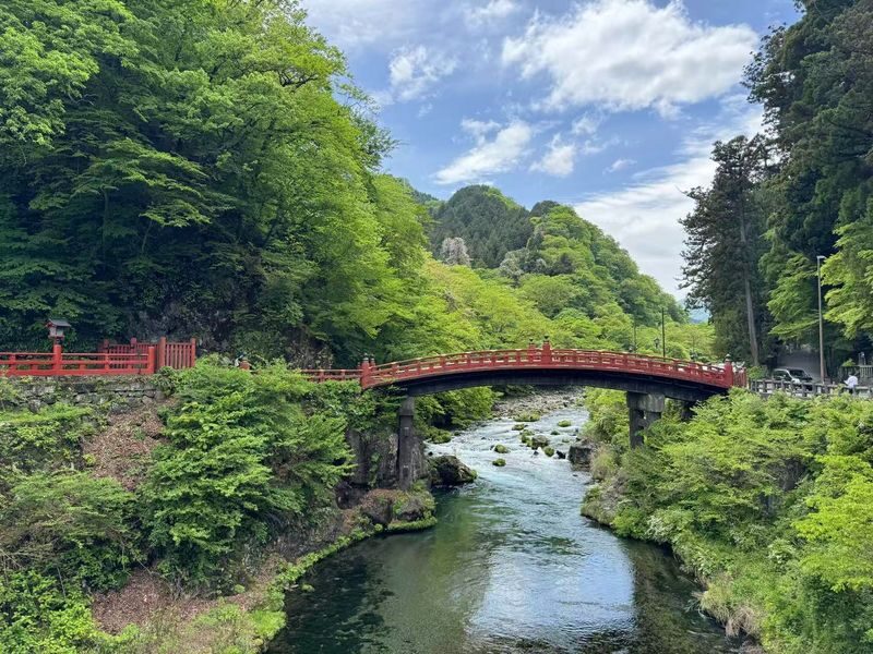 Tokyo Nikko Full-Day Private Experience with Customizable Itinerary - What a full day can and cannot promise