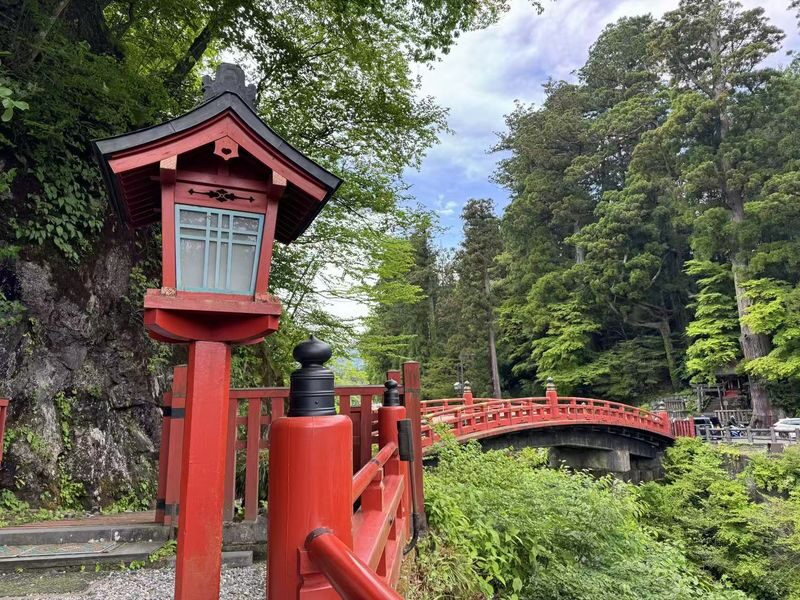 Tokyo Nikko Full-Day Private Experience with Customizable Itinerary - Who is likely to get the most from this trip
