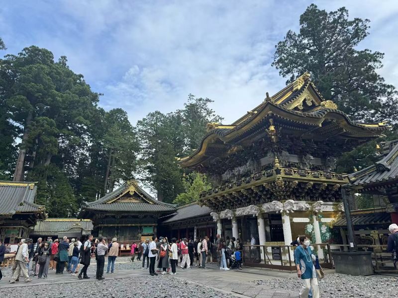 Tokyo Nikko Full-Day Private Experience with Customizable Itinerary - Confirm these details before setting off