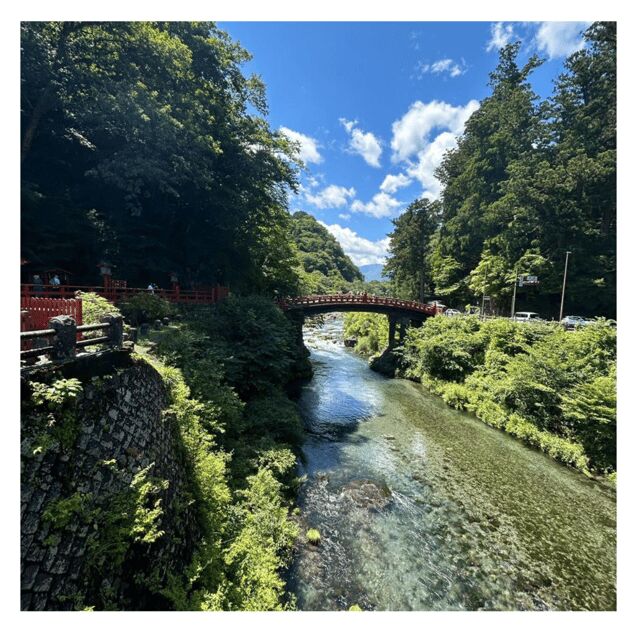 Tokyo: Nikko Kegon Falls Lake Chuzenji Toshogu Temple & More - Key Points