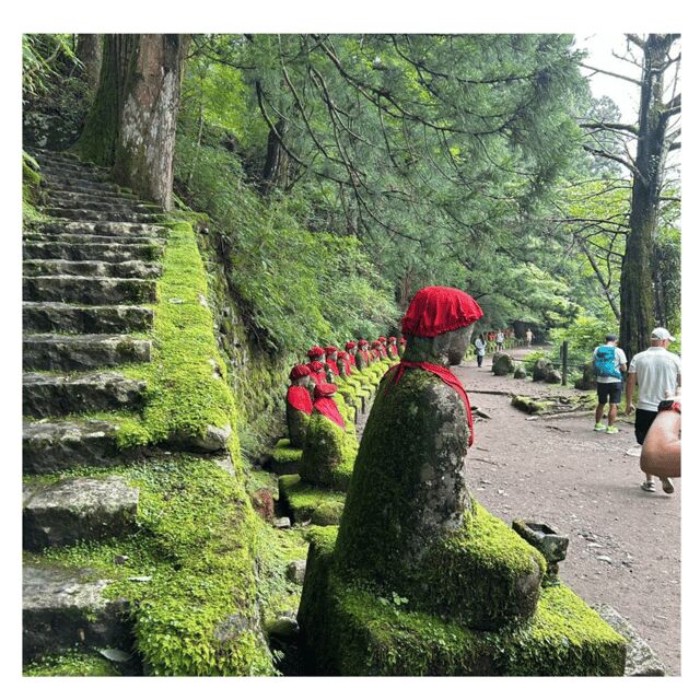 Tokyo: Nikko Kegon Falls Lake Chuzenji Toshogu Temple & More - Final Thoughts