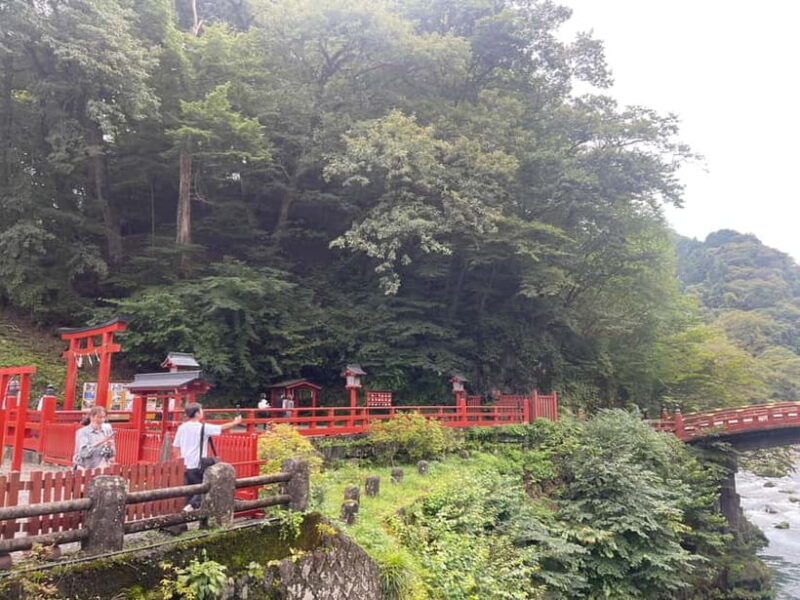 Tokyo: Nikko Private Customize Tour English Driver & Guide - Final Thoughts: Is This Tour for You?