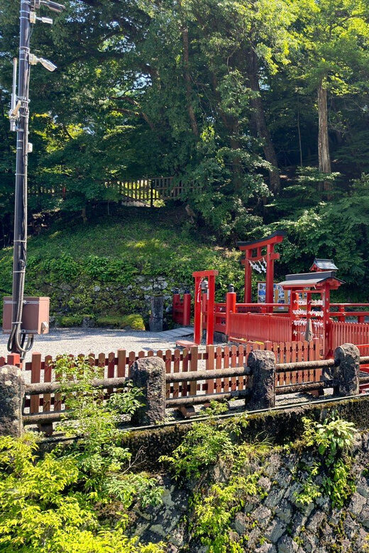 Tokyo: Nikko Private Day Tour - FAQ