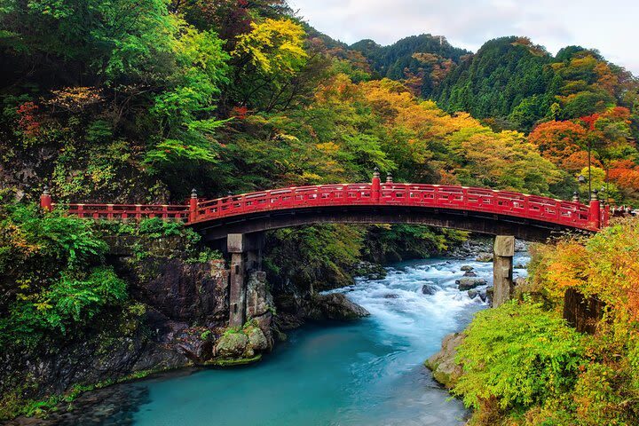 Tokyo Nikko Private Full-Day Temples Tour - Key points before you book
