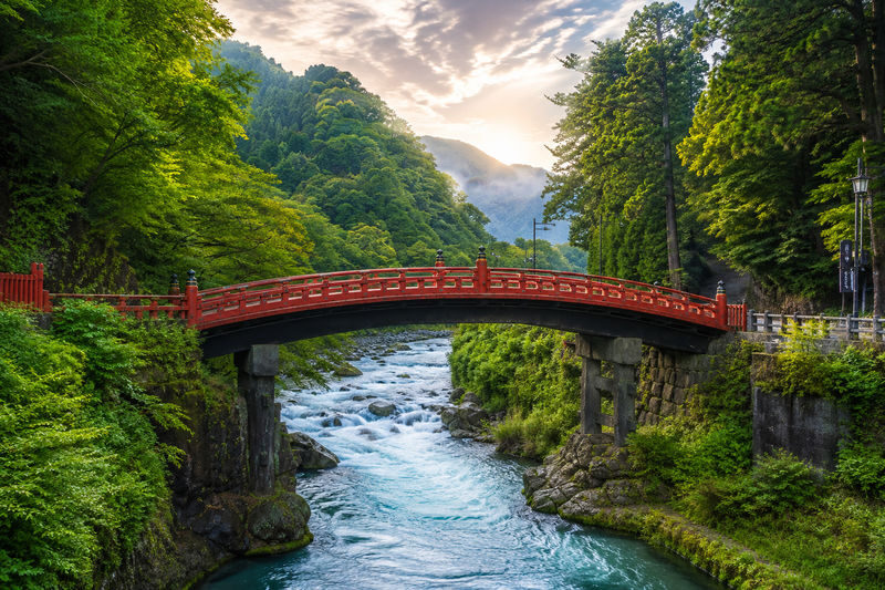 Tokyo Nikko Private Full-Day Tour with Transfers - Tokyo to Nikko, with the long drive taken care of