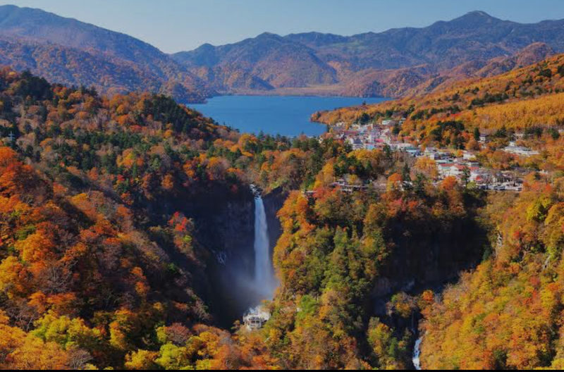 Tokyo Nikko Private Full-Day Tour with Transfers - Shrines, bridges and a forest setting
