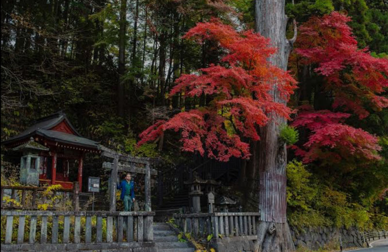 Tokyo Nikko Private Full-Day Tour with Transfers - What a private driver adds, and what it does not