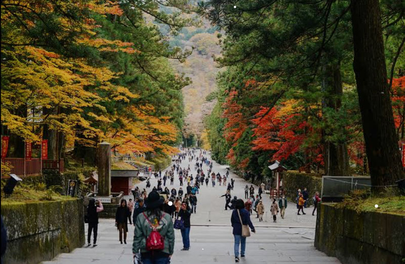 Tokyo Nikko Private Full-Day Tour with Transfers - Setting a sensible pace for ten hours