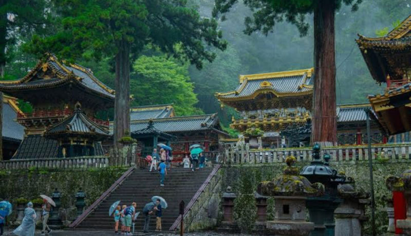Tokyo Nikko Private Full-Day Tour with Transfers - Is $395.35 good value?