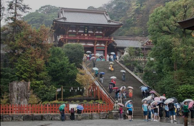Tokyo Nikko Private Full-Day Tour with Transfers - Who will get the most from this day trip?