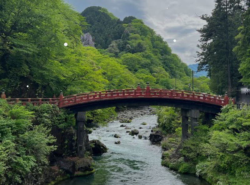 Tokyo Nikko Private Full-Day Tour with Transfers - Should you book the Nikko private tour?
