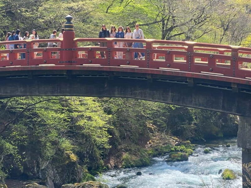 Tokyo: Nikko Private Tailored Day Tour with Premium Vellfire - The Highlights of Your Nikko Journey