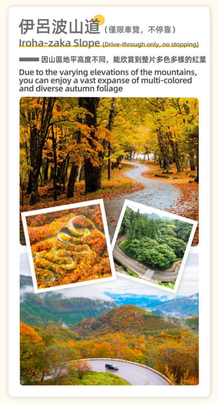 Tokyo Nikko Toshogu Shrine and Kegon Falls Day Tour - The price makes sense if you use the transport