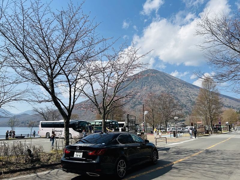 Tokyo Nikko Toshogu Shrine Full-Day UNESCO Guided Tour - Price and value: convenience over freedom