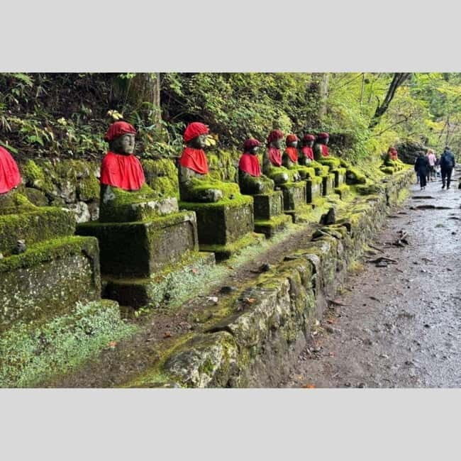 Tokyo: Nikko World Heritage Private Day Trip Hotel Pick-up - Key Points