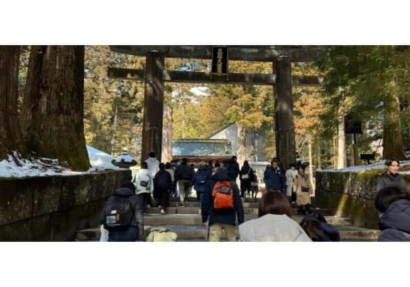 Tokyo: Nikko World Heritage Private Day Trip Hotel Pick-up - Discovering Nikko in Comfort and Style