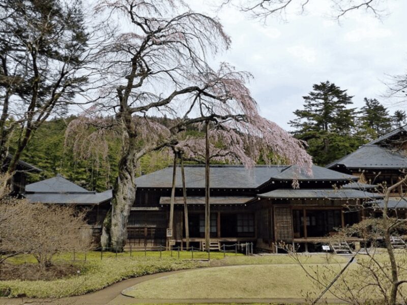 Tokyo: Nikko World Heritage Private Day Trip Hotel Pick-up - FAQs