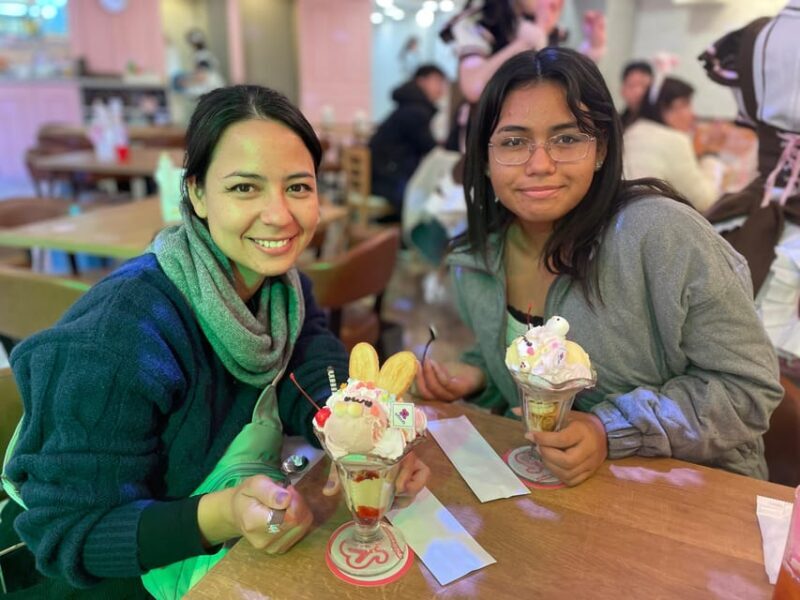 Tokyo: Nostalgic Anime and Retro Gaming in Akihabara - Who Should Consider This Tour?