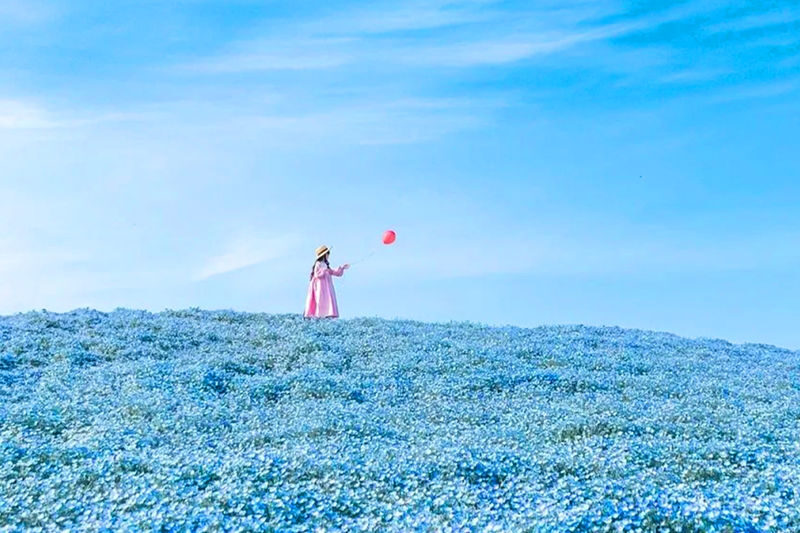 Tokyo Oarai Isosaki Shrine & Hitachi Seaside Park Full-Day Tour - Key points before you book