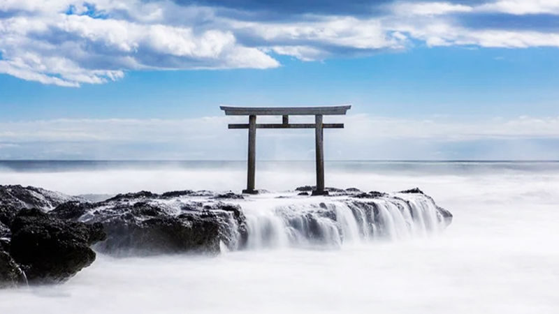 Tokyo Oarai Isosaki Shrine & Hitachi Seaside Park Full-Day Tour - Hitachi Seaside Park: the second half of the day