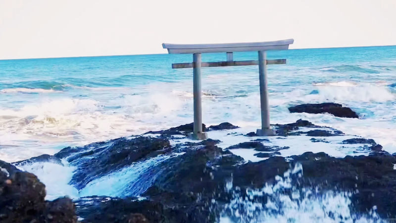 Tokyo Oarai Isosaki Shrine & Hitachi Seaside Park Full-Day Tour - The guide may be the difference between a visit and a good day