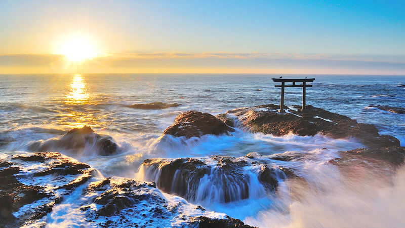 Tokyo Oarai Isosaki Shrine & Hitachi Seaside Park Full-Day Tour - Is $51.09 good value?