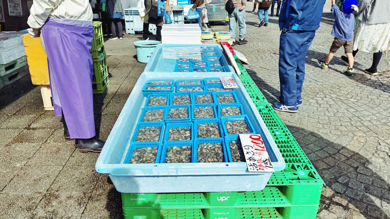 Tokyo Oarai Isosaki Shrine & Hitachi Seaside Park Full-Day Tour - Booking and weather details to keep in mind