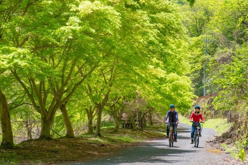 Tokyo Okutama Mountain Half-Day Cycling Adventure with Wasabi Tasting - What makes the Okutama ride worth considering