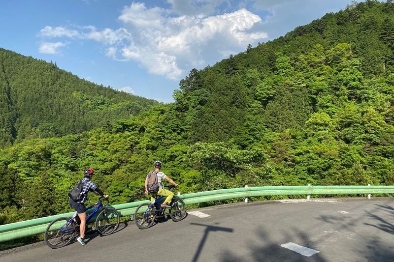 Tokyo Okutama Mountain Half-Day Cycling Adventure with Wasabi Tasting - A mountain escape within Tokyo Metropolis