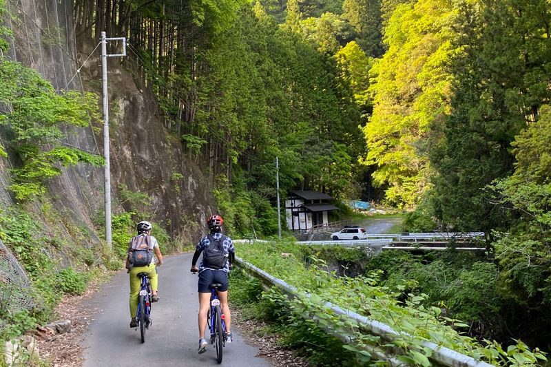 Tokyo Okutama Mountain Half-Day Cycling Adventure with Wasabi Tasting - Lake Okutama and the quieter roads