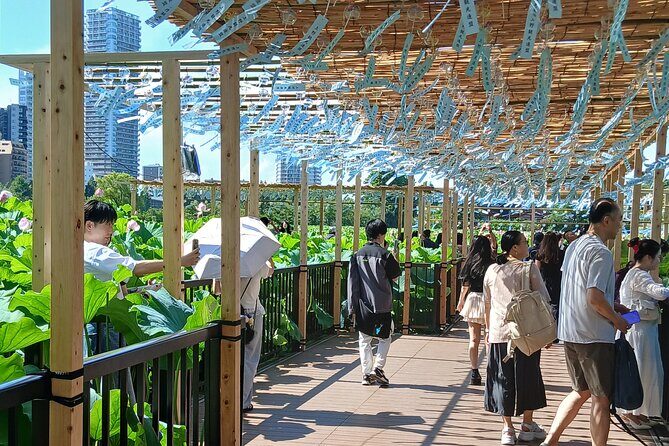 Tokyo Old Town Discovery Walk. Lunch Included - Practical Details & Value