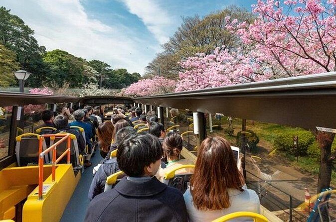 Tokyo: Open Top Sightseeing Bus with Audio Guide - What the Reviews Say
