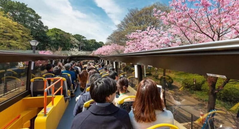 Tokyo: Open Top Sightseeing Bus with Audio Guide - FAQ