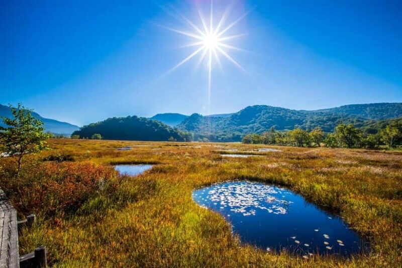 Tokyo: Oze Marshland Hiking Day Trip via Hatomachi Pass - Key Points