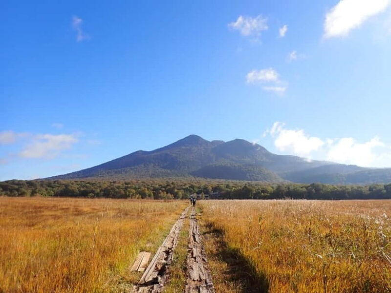 Tokyo: Oze Marshland Hiking Day Trip via Hatomachi Pass - Who Should Consider This Tour?