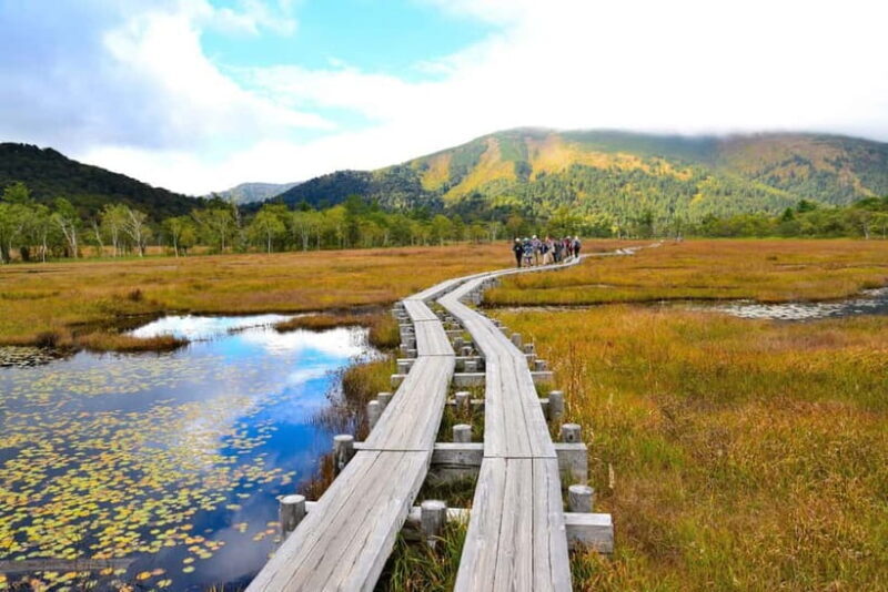 Tokyo: Oze National Park Self-Guided Hike with Overnight Bus - Frequently Asked Questions (FAQs)