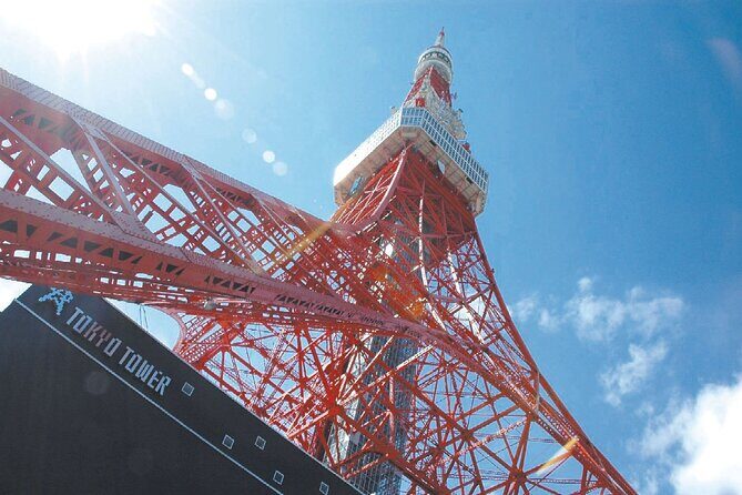 Tokyo Panoramic 1 Day: Meiji Shrine, Asakusa, Odaiba and SKYTREE® - Final Thoughts: Is This Tour Worth It?