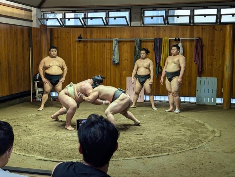 Tokyo: Personalized Half-day Tour - Who Will Love This Tour?