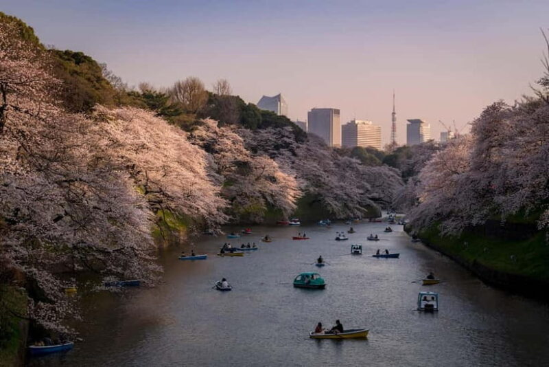 Tokyo: Photography Masterclass - Private Photo Lesson - Key Points