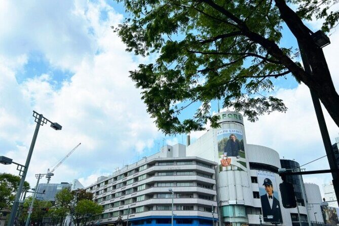 Tokyo Pop Culture & Tradition Tour: Meiji Shrine to Harajuku - Final Thoughts