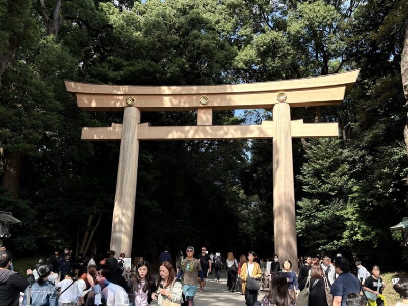 Tokyo: Private 1-Day Tour by Car with Local Guide - Key Points